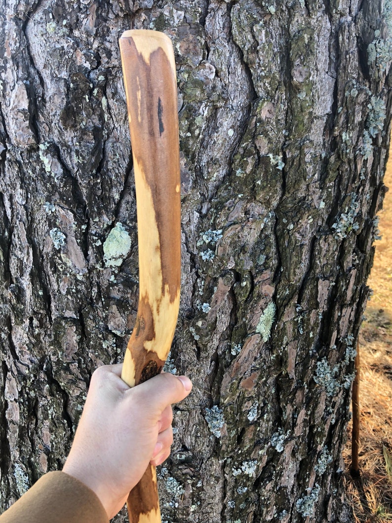 Op de afbeelding: Een gladde, gebogen houten wandelstok met een natuurlijk nerfpatroon met afwisselende lichtbruine en donkerbruine kleurvariaties. Het oppervlak van het hout is gepolijst en vertoont over de gehele lengte organische, onregelmatige markeringen.