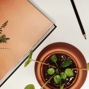 May include: A terracotta pot with a copper-coloured interior holds a small green plant with round leaves. The plant is sitting on a white surface next to a closed book with a peach-coloured cover.