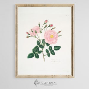 Vintage Rose Botanical Print | DIGITAL PRINT | 120