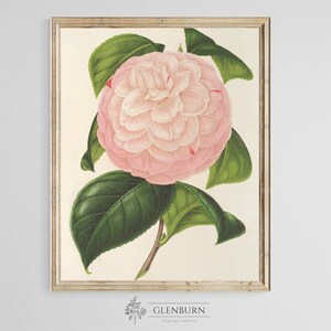 Vintage Flower Still Life Painting | Botanical Wall Art | DIGITAL PRINT | 109