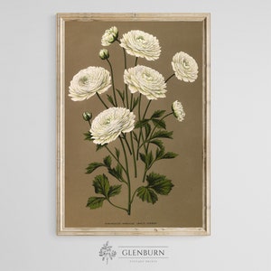 Botanical Wall Art | Vintage DIGITAL PRINT Floral Painting | 53
