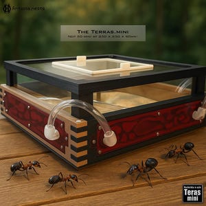 Antopia.Nests Terras.mini - A large multi cave Ant Formicarium & Outworld - Everything included, just add ants!