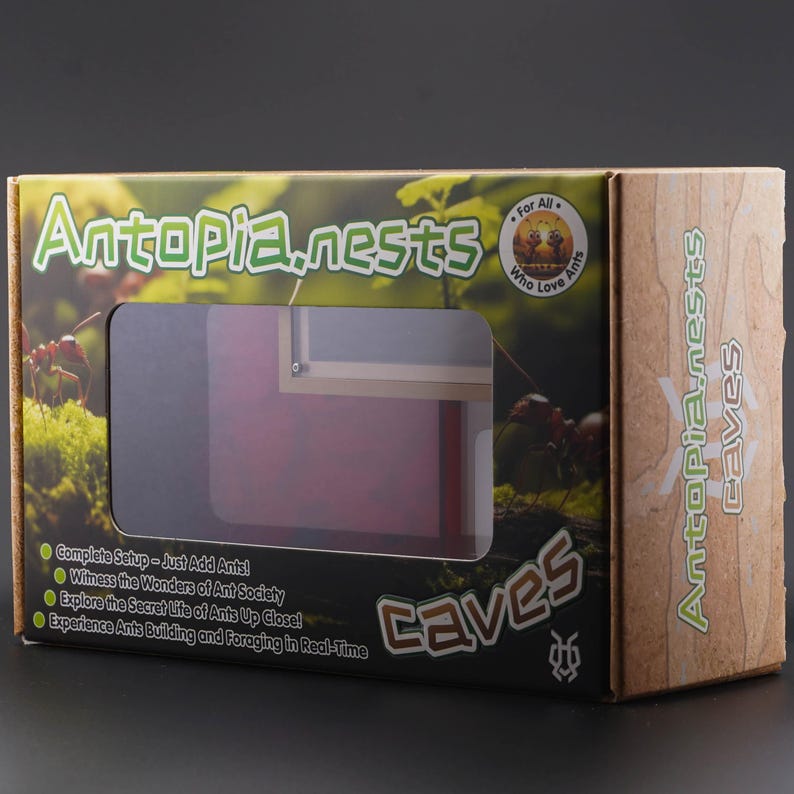 May include: A cardboard box for Antopia nests, featuring a clear window to view the interior. The box has the words "Antopia nests" and "Caves" in a green and white font. The box also has a picture of ants and moss.