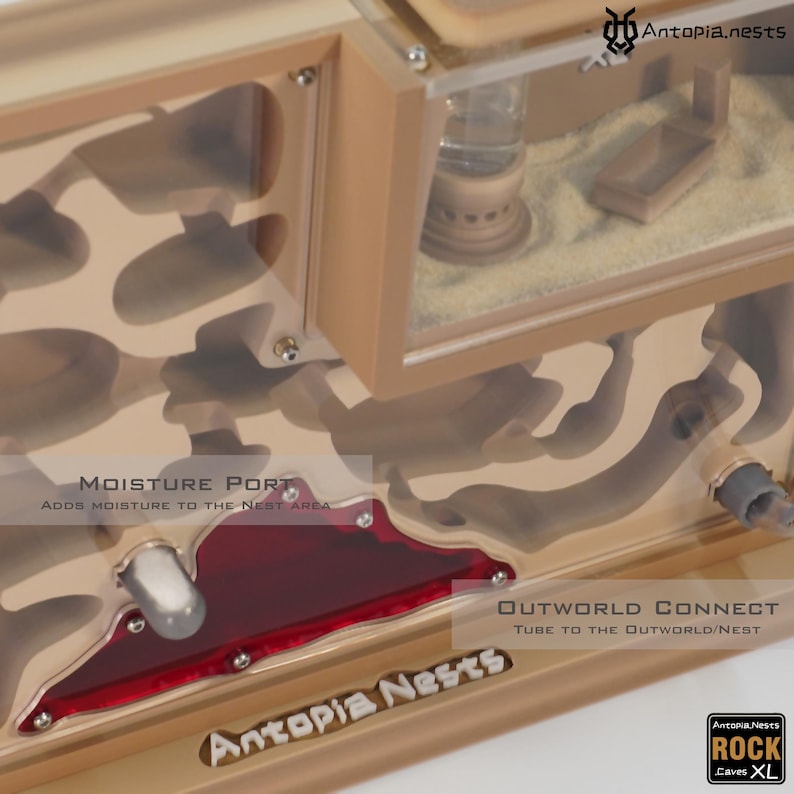 Antopia.caves.xl - an Ant Nest Formicarium- Everything Included, Just ...
