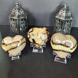 Septarian Hearts, Septarian Palm Stones, 2&quot;+, Choose Your Own