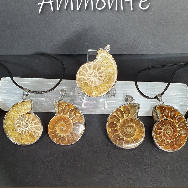 Genuine Ammonite Fossil Necklaces, Choose Your Own