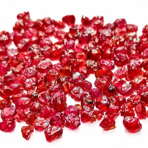 May include: A scattering of raw ruby gemstones, displaying a deep red hue. The uncut stones have irregular shapes and varying sizes, set against a white backdrop. The rubies appear slightly translucent.