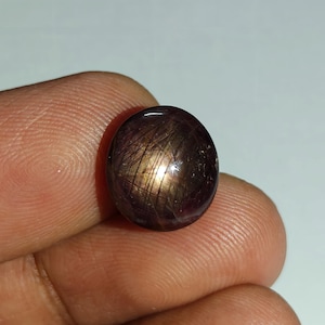 Può includere: Una pietra preziosa rotonda tagliata a cabochon con una tonalità rosso-marrone profondo e viola scuro, caratterizzata da un distinto motivo a stella a sei raggi, noto come asterismo, che riflette la luce sulla sua superficie lucida e liscia.