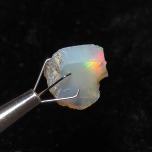May include: A raw, translucent opal gemstone held by a silver-toned metal prong tool. The stone features a milky white base with vibrant flashes of red, orange, and green iridescence visible on its surface, showcasing a natural, irregular shape.