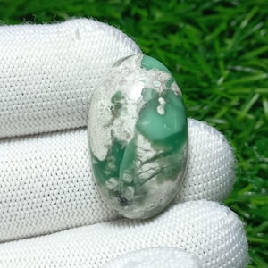 Puede incluir: Una gema ovalada con una mezcla de tonos verdes y blancos. La superficie pulida presenta áreas de verde vibrante y parches de blanco y gris. La gema se sostiene en un guante blanco, con un fondo de hierba verde.