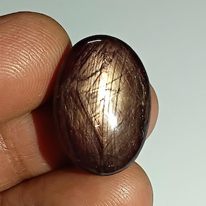 May include: An oval-shaped cabochon gemstone with a deep dark brown and black base color, featuring a prominent six-rayed star effect known as asterism that reflects a bright, metallic golden light across its polished, smooth, and curved surface.