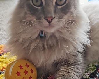 Anime cat toys, wish balls, galaxy balls, star balls, golden balls, retro nerd toys for cats, cat nip, fleece toys, soft toys, cool toys,