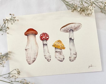 A5 Watercolour Mushrooms - Original Watercolour Painting - Mushroom Artwork