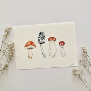 A5 Mushrooms Art Print - Watercolour Mushrooms Painting - Watercolour Art Print