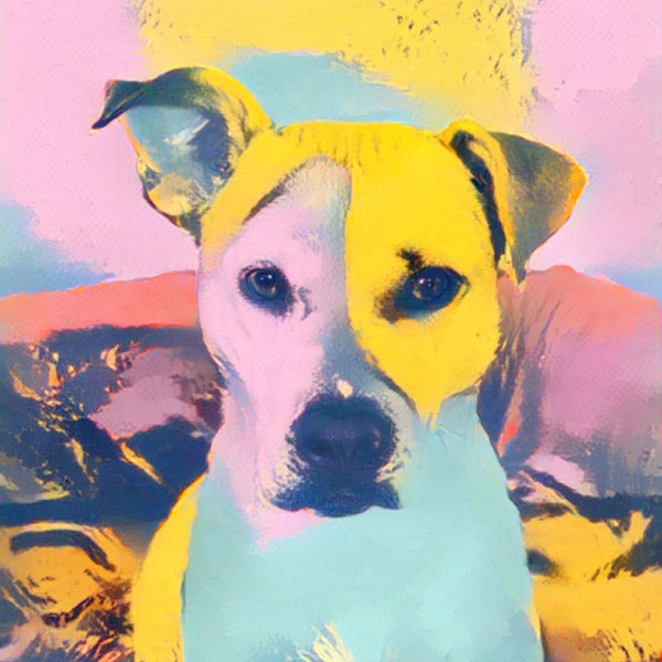 Custom Pet Portrait, Andy Warhol Pop Style Digital Art, Portrait from Photo, Pet Owner Gift, Pet Memorial, Cat & Dog, Dog Dad, Dog Mom Gift