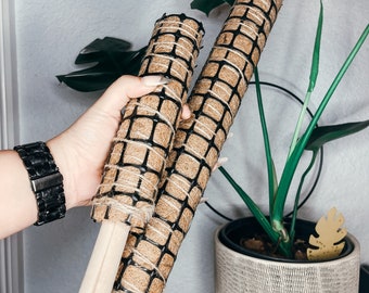 12" & 24" Coco Coir Poles for Climbing House Plants