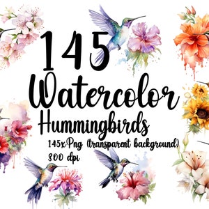 Watercolor Hummingbird Bundle 145 X PNG (transparent background) Hummingbird PNG for commercial use Hummingbird PNG Hummingbirds clipart