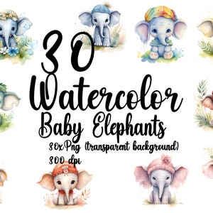 Watercolor elephants 30 X PNG bundle (transparent background) elephant PNG for commercial use watercolor elephant PNG elephant clipart