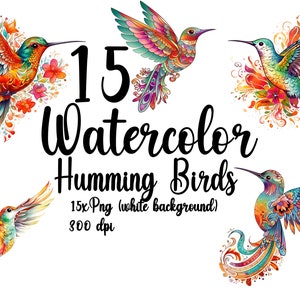Watercolor hummingbird 15 pieces PNG (white background) hummingbird PNG for commercial use watercolor hummingbird PNG hummingbirds clipart