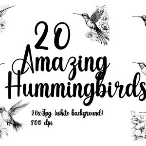 Hummingbird clipart black / white 20 X JPG (white background) hummingbird 20 JPG for commercial use hummingbird JPG hummingbirds clipart