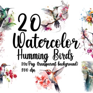 Watercolor Hummingbird Bundle 20 X PNG (transparent background) Hummingbird PNG for commercial use Hummingbird PNG Hummingbirds clipart
