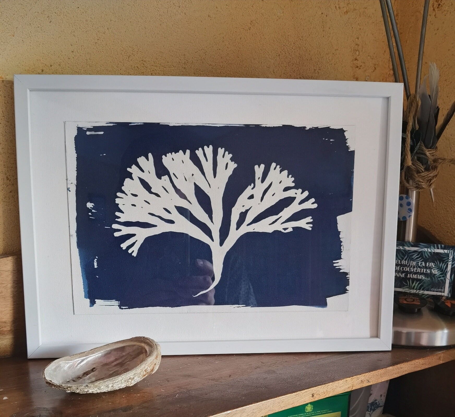 Cyanotype Algue