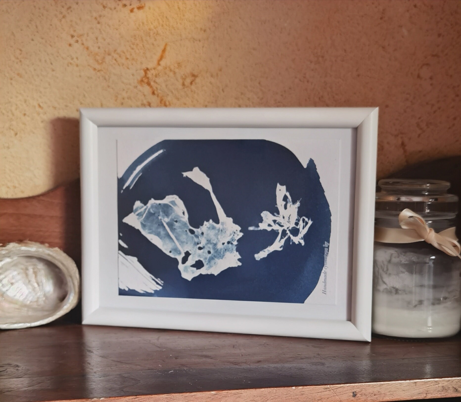 Cyanotype Algue