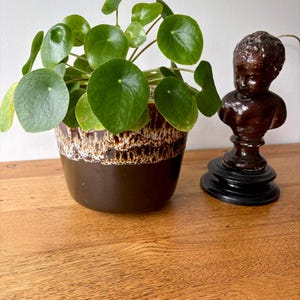 May include: A Pilea peperomioides plant with round green leaves sits in a cylindrical ceramic pot featuring a dark brown base and a textured white and brown drip glaze rim, accompanied by a small dark brown bust of a child on a pedestal.