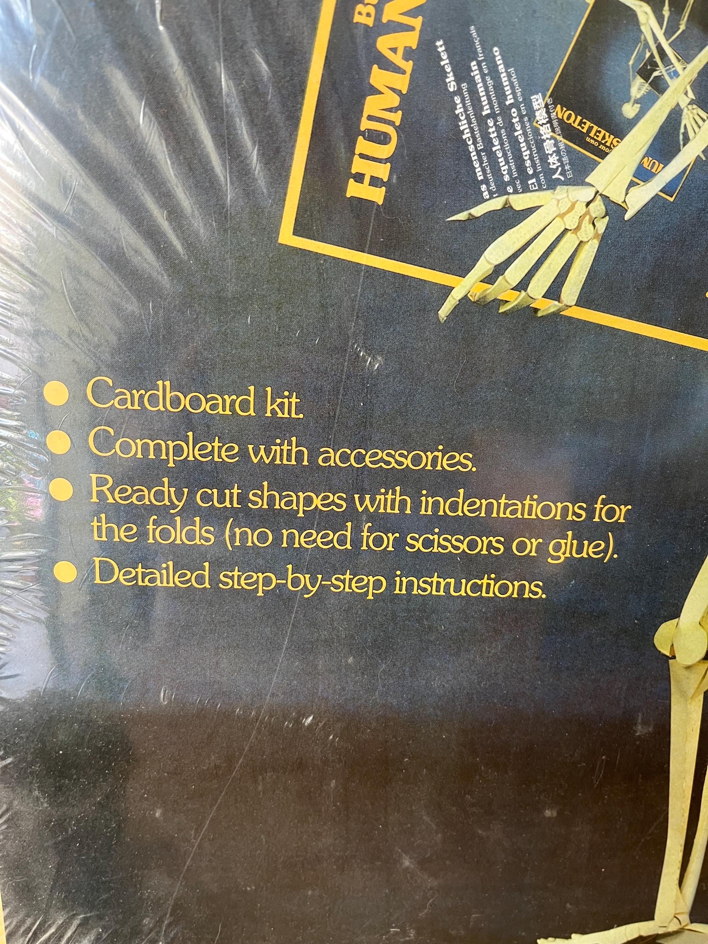 Vintage - Build Your Own Skeleton - 1980s/1990s - New in Packaging - Etsy