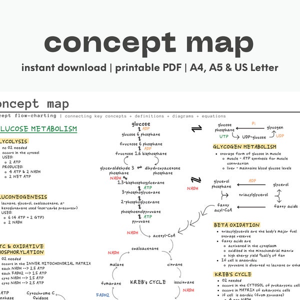 Simple Concept Map | Big Picture Tool | Printable PDF | Minimal Digital Planner | Student Organizer | Instant Download | A4, A5 & US Letter