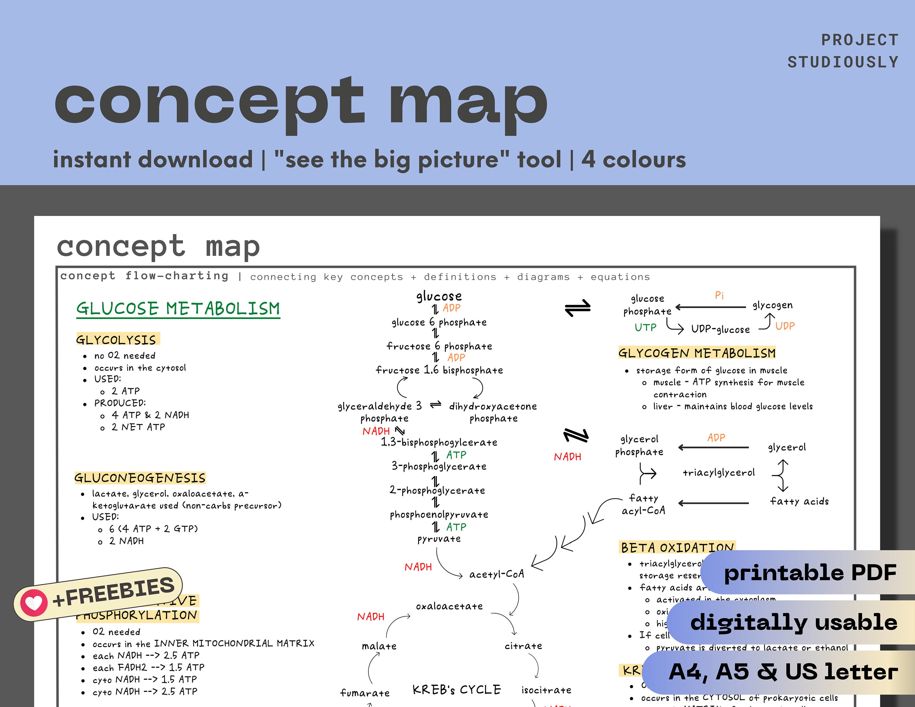 Simple Concept Map Big Picture Tool Printable PDF - Etsy Canada