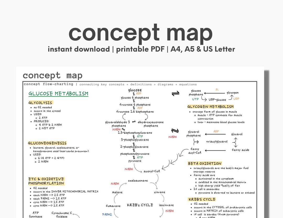 Concept Map Printable & Digital Template | Student Study Tool (digital ...