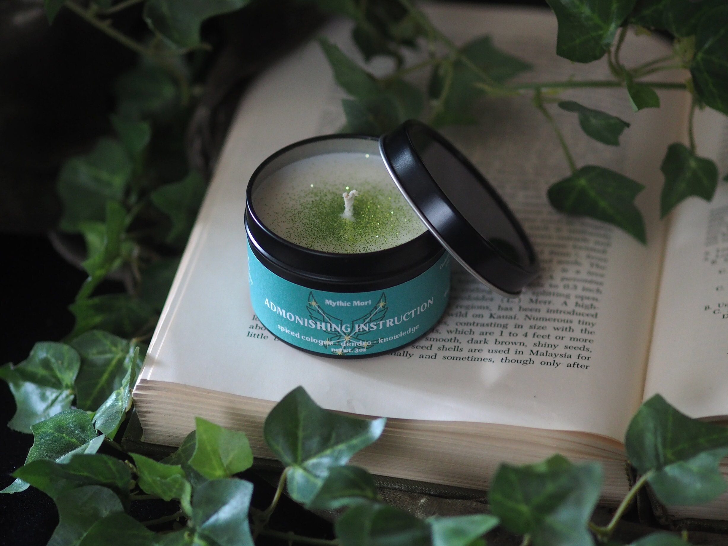 Alhaitham Admonishing Instruction - Genshin Impact Inspired Handmade Soy  Candle - Etsy