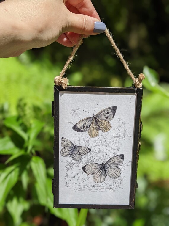 Vintage Style Hanging Frame With Butterfly Print. Etsy