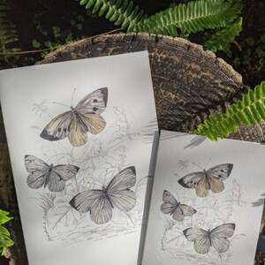 Carte A6 Papillons de jardin avec enveloppe.