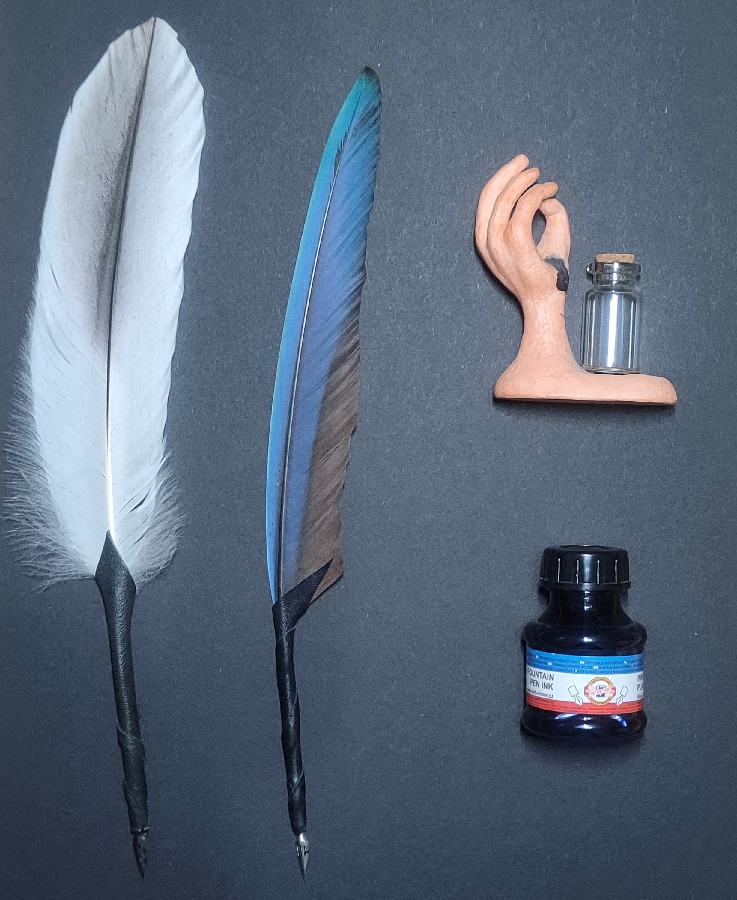 Peacock Feather Pen and Ink Set - Trustela
