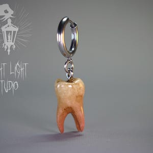 Op de afbeelding: Enkele oorbel met een tandvormige hanger die aan een zilveren ring hangt. De tand is beige met roze-rode wortels. De oorbel staat tegen een grijze achtergrond. De tekst "FRIGHT LIGHT STUDIO" is zichtbaar.