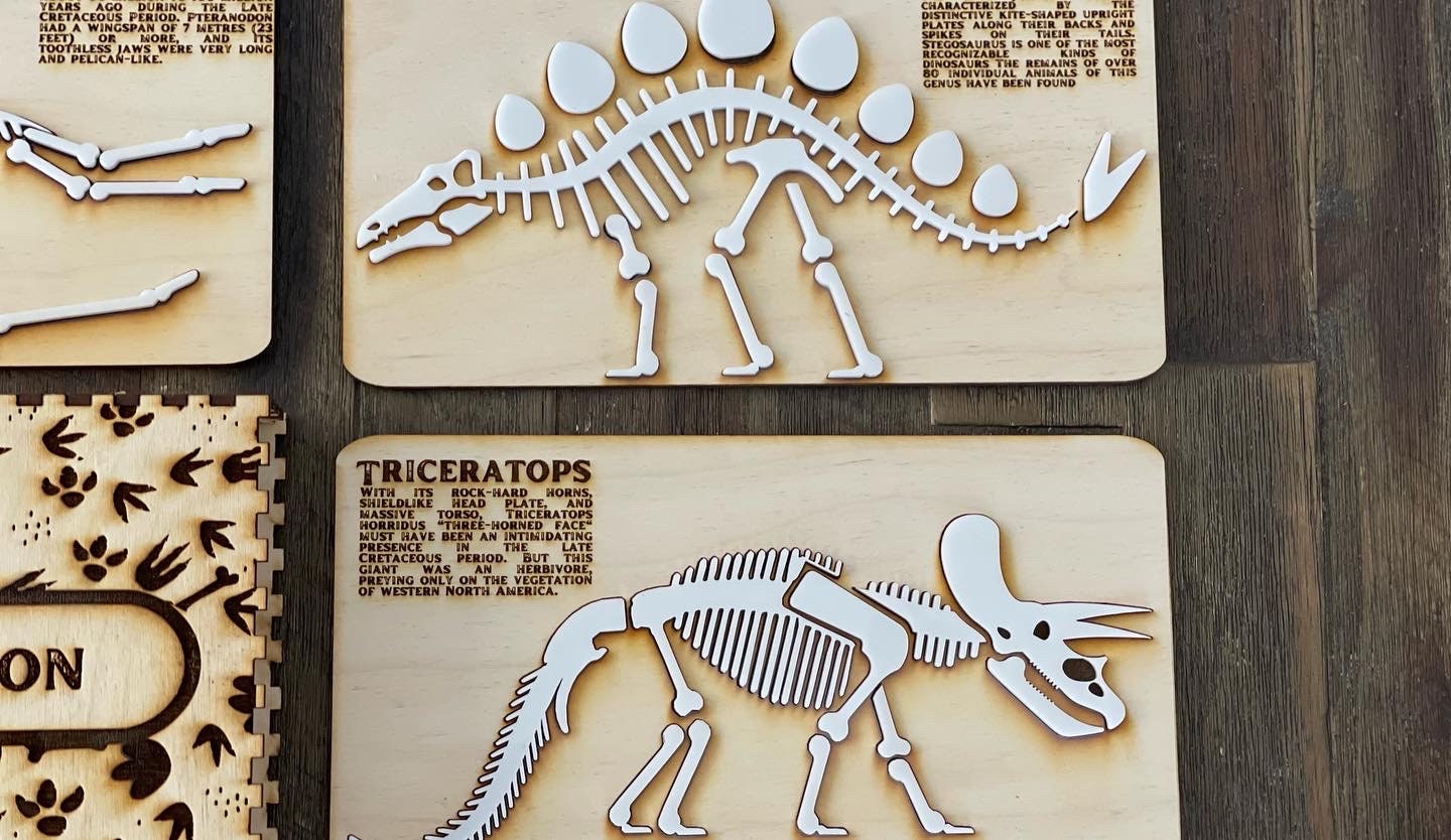 Buy Dinosaur Fossil Collection Build Your Dinosaurs Online In India Etsy