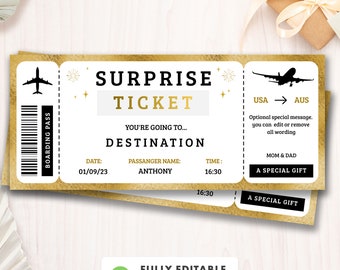 Editable Surprise Trip Ticket, Surprise Boarding Coupon Pass, Event Ticket template, Fake Plane Travel, Gift Printable, Instant Download