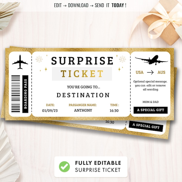 Bearbeitbares Surprise Trip Ticket, Surprise Boarding Coupon Pass, Event Ticket Vorlage, Fake Plane Travel, Geschenk druckbar, Instant Download