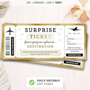 Editable Surprise Trip Ticket, Surprise Boarding Coupon Pass, Event Ticket template, Fake Plane Travel, Gift Printable, Instant Download