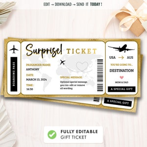 Editable Surprise Trip Ticket, Surprise Boarding Coupon Pass, Event Ticket template, Fake Plane Travel, Gift Printable, Instant Download