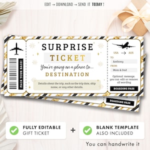 Editable Surprise Trip Ticket, Surprise Boarding Coupon Pass, Event Ticket template, Fake Plane Travel, Gift Printable, Instant Download