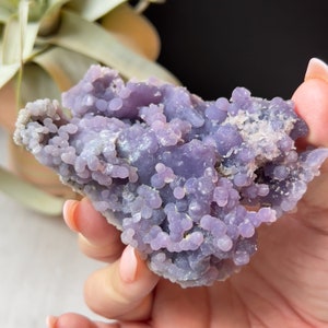 Grote druivenagaatcluster met dieppaarse kleur | Paars botryoïdaal chalcedoon kristalmonster