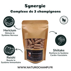 SYNERGIE van Reishi Hericium Shiitake | Voedingssupplement op basis van in Frankrijk geteelde paddenstoelen | NaturoChampi Mycotherapie