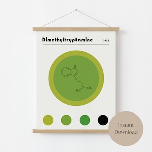 Dimethyltryptamine molecule, chemistry poster, DMT, psychedelic poster, science print, bauhaus, retro aesthetic, stoner gift, trippy art