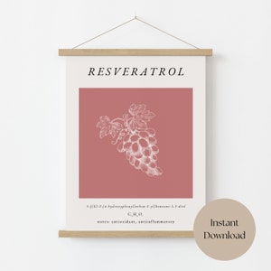 Resveratrol digital print, chemistry poster, science wall art, matisse print, kitchen art, wine art prints, molecule art, instant download