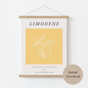 Limonene digital print, chemistry poster, science wall art, matisse print, kitchen art, botanical print, molecule art, instant download