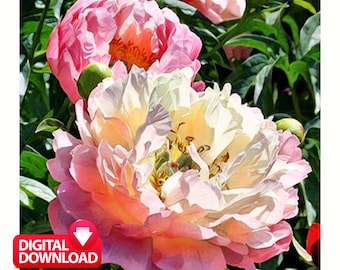 Pink & White Peonies Painting: Floral Wall Art (Digital Download)