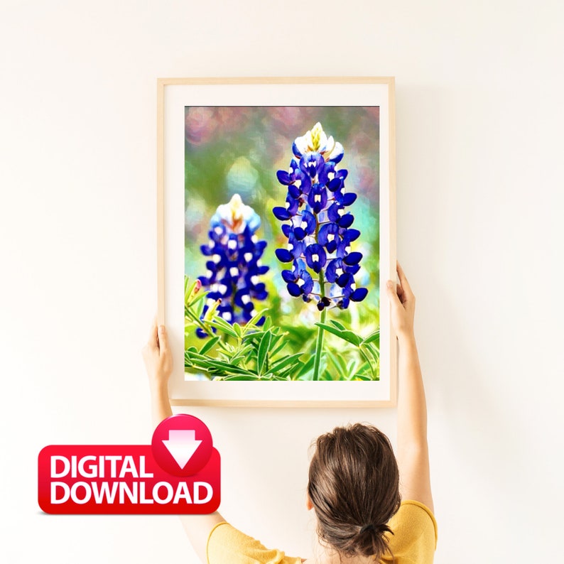 Painting Printable Beautiful Texas Wildflowers Etsy